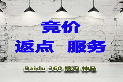 行业领先企业的SEM服务托管策略案例